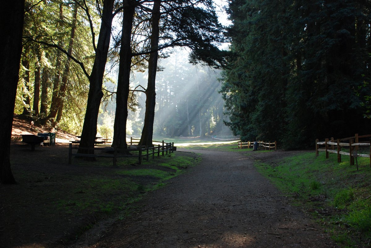 Moving from the shadows to the light Image.